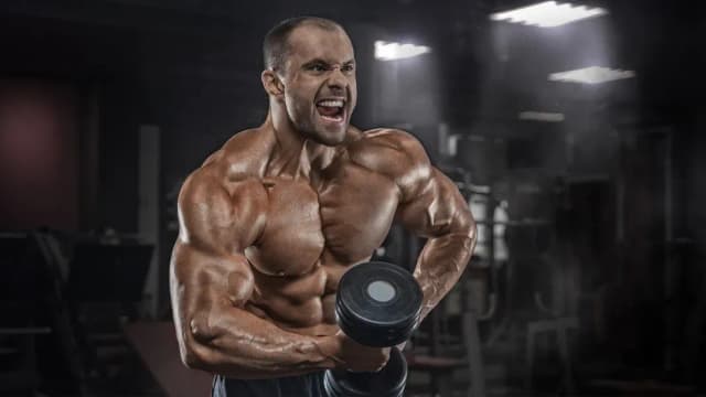 Jakie odżywki na crossfit pomogą Ci osiągnąć lepsze wyniki? Jakie odżywki na crossfit pomogą Ci osiągnąć lepsze wyniki?